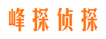 环翠调查公司